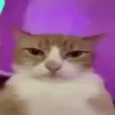 nosoka