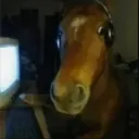 swhitcher