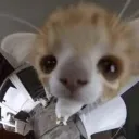 coldshrimp avatar