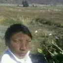 insanidadinsana. avatar