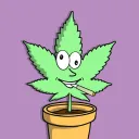 cryptoweedys5020