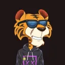 funkytiger5197