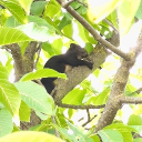 avatar Dr.Szöszi🖤🕳👅