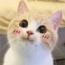 elliezub