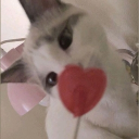 avatar 𝒎𝒂𝒅§