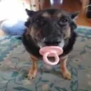 bob_72873