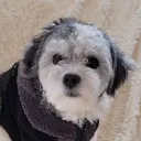 dstheexplorer