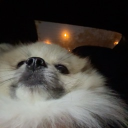 avatar เบนจามิน เทสโก้ โลตัส