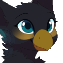 azukipuddles