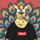 sandyrooflex