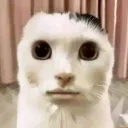yebos777 avatar