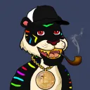 timidtigerking1555