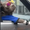 swagmaster741 avatar