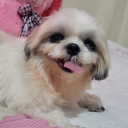 avatar 𝐒𝐄𝐋𝐄𝐍𝐄 🎀