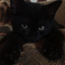 darkets9