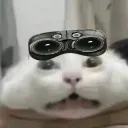 real_molag_bal