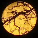 nightsky3793