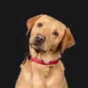 john001539