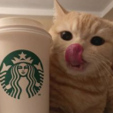 avatar 💫annalena💫