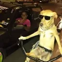 deadshikami