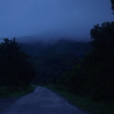 avatar Nocturnal