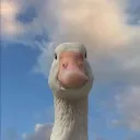 tt8638
