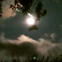 Moonlit.Elf