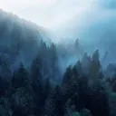 uzokar