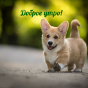 avatar максимальная доза✅ ✅