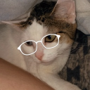 avatar 《☃ℓαι∂вα¢кMαҽ🎄》