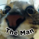 theman00196