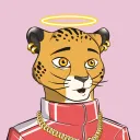 solcheetahs8525