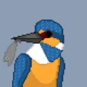 kingfisher2311