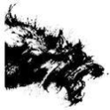 OdinsWolf