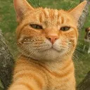 lissojeans