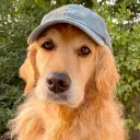 TimelessBonBon's Avatar