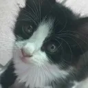jsmnix