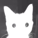 avatar герверкАЛОЗАЯЧЁ