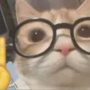 tina777