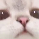 freyabby.
