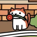 rosedew