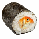 avatar Sushi