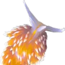 periwinkle0401