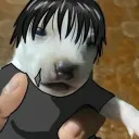 papaluchon4623 avatar