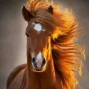 horsehunter.eth2525