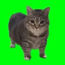 gaeninja avatar