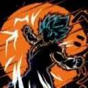 vegetto4311