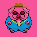 solpig4020