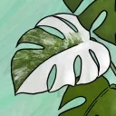 moodymonsterabot4246