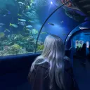 zlloh